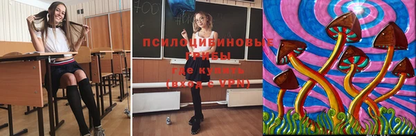 spice Армянск
