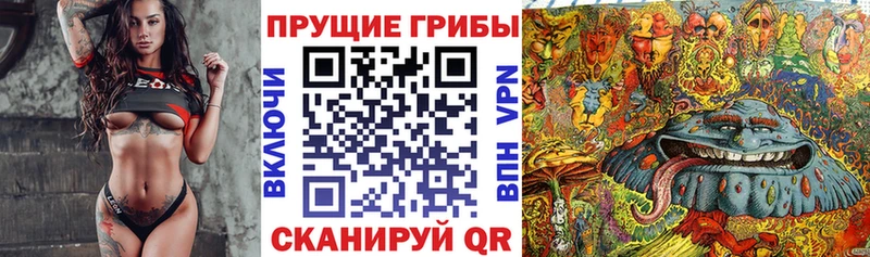 Псилоцибиновые грибы прущие грибы  Кандалакша 